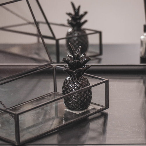 Ananas Zwart 5x5x11 cm